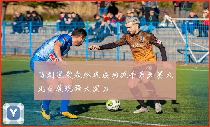 马刺逆袭森林狼成功扳平系列赛大比分展现强大实力