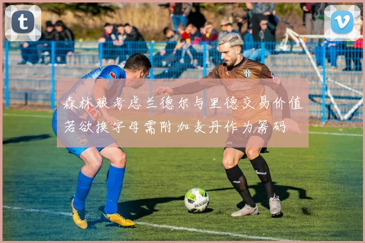 森林狼考虑兰德尔与里德交易价值若欲换字母需附加麦丹作为筹码